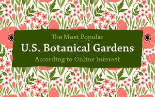 Best Botanical Gardens In The Us