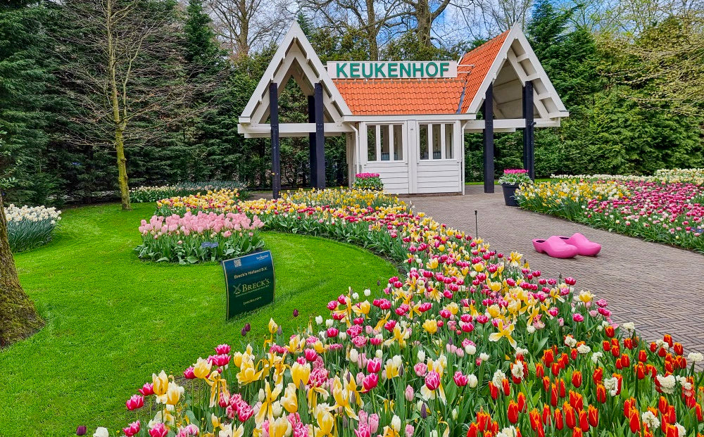 Breck’s Bulbs at Keukenhof Gardens | Breck's – Brecks