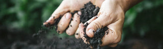 Clay Soil