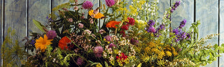 Drying Flowers Plant Materials