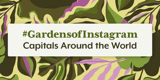 Garden Capitals Instagram Garden Trend