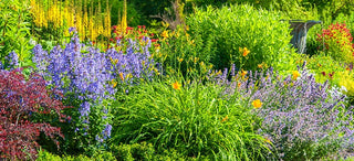 How To Plan A Flower Garden