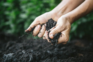 How To Prepare Soil For Garden Planting