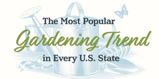 Popular Gardening Trends By State