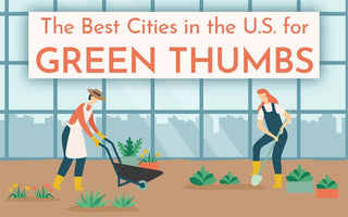 The Best Cities In The Us For Green Thumbs