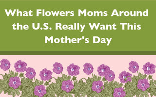 What Moms Want For Mothers Day