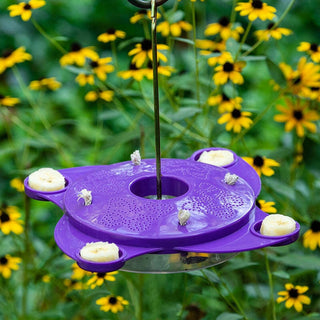 Butterfly Feeder And Nectar