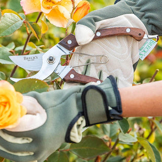 Brecks Rosewood Pruners