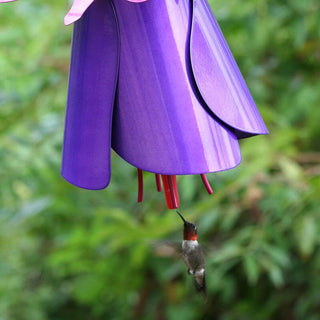 Fuchsia Hummingbird Feeder