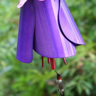 Fuchsia Hummingbird Feeder