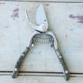 8 Bypass Secateurs