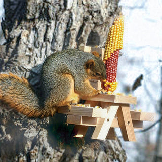 Picnic Table Squirrel Feeder