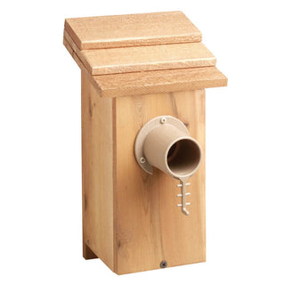 Birdhouse Protector