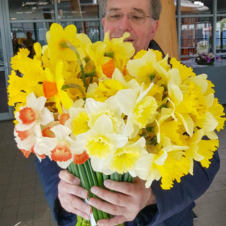 Cutflower Garden Daffodil Mixture