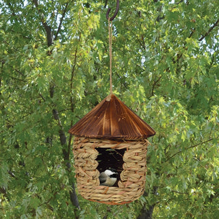 Hanging Grass Roosting Nest