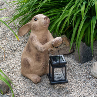 Rabbit With Solar Lantern