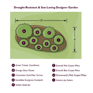 Drought Resistant Sun Designer Garden