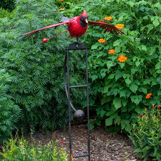 Rocking Cardinal Balancer Stake