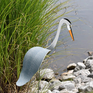 Florida Dancing Birds Great Blue Heron