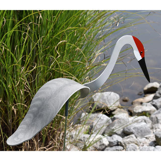 Florida Dancing Birds Sandhill Crane