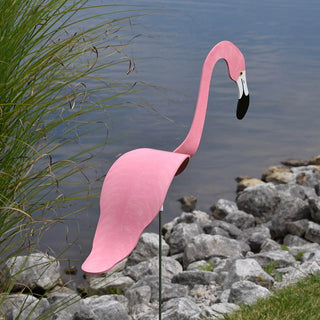 Florida Dancing Birds Flamingo