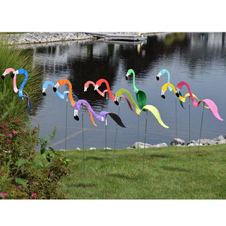 Florida Dancing Birds Flamingo