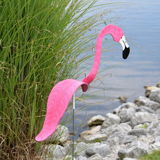 Florida Dancing Birds Flamingo