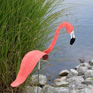 Florida Dancing Birds Flamingo