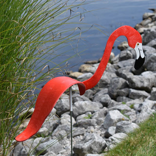 Florida Dancing Birds Flamingo