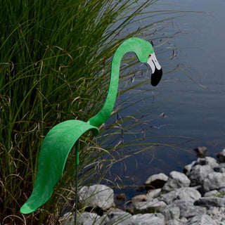 Florida Dancing Birds Flamingo