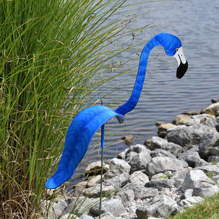 Florida Dancing Birds Flamingo