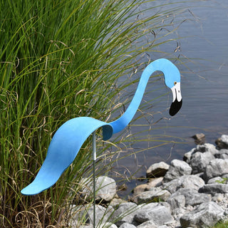 Florida Dancing Birds Flamingo