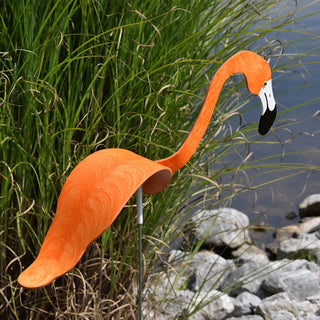 Florida Dancing Birds Flamingo