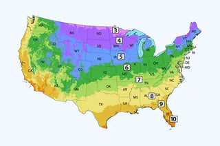 Hardiness Zone map