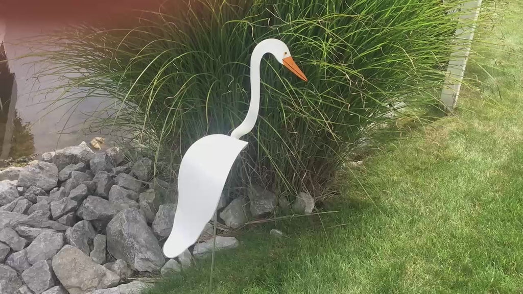 Florida Dancing Birds Great Egret